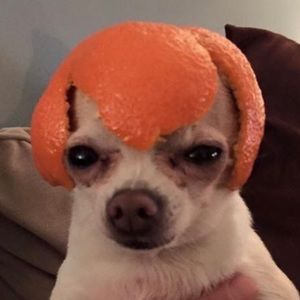 Meet your Posher, Harper